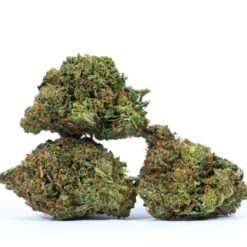 DR-FUNK-cannabis-strain-Buy-Online-Canada