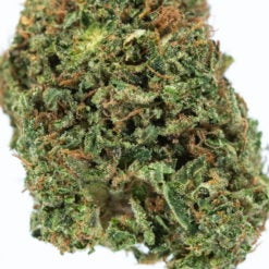 DR-FUNK-marijuana-strain-Buy-Online-Canada