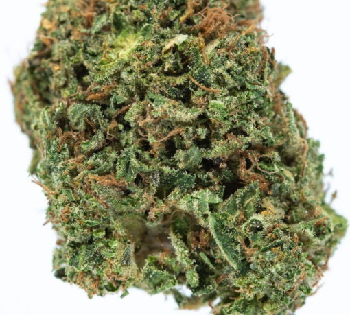 DR-FUNK-marijuana-strain-Buy-Online-Canada
