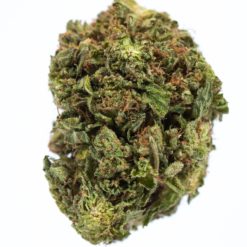 MASTER-BUBBA-marijuana-strain-canada-buy-online