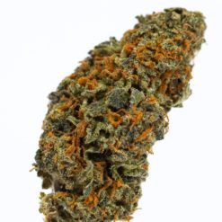RED CONGO-marijuana-strain-buy-online-canada-