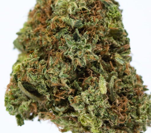 PINK STAR-marijuana-strain-buy-online-canada-