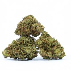 BAKERSTREET-cannabis-strain-buy-online-canada-