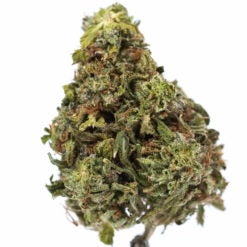 BAKERSTREET-marijuana-strain-buy-online-canada-