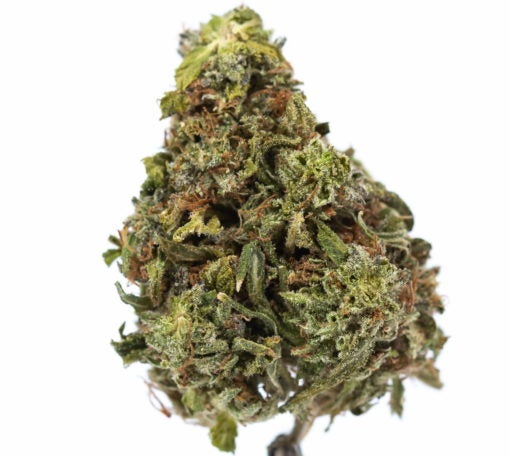 BAKERSTREET-marijuana-strain-buy-online-canada-