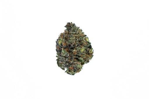 PURPLE-PUNCH-cannabis-strain-Buy-Online-Canada