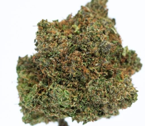 PINK-PANTHER-cannabis-strain-Buy-Online-Canada