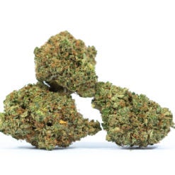 PINK-PANTHER-marijuana-strain-Buy-Online-Canada