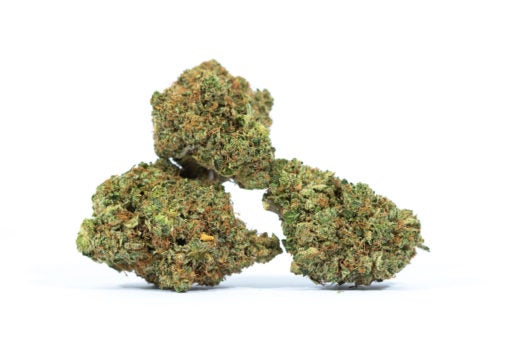 PINK-PANTHER-marijuana-strain-Buy-Online-Canada