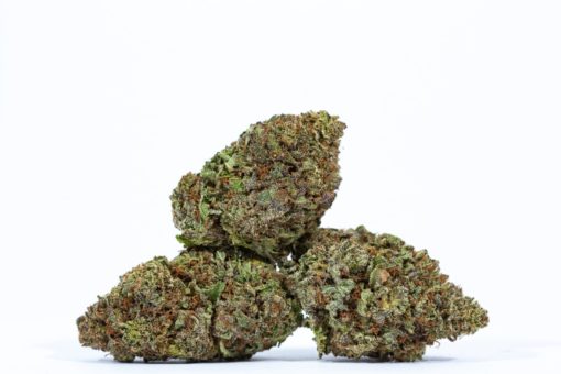 BLUE MAGOO-cannabis-strain-buy-online-canada-