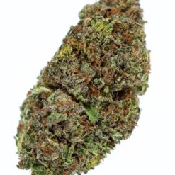 BLUE MAGOO-marijuana-strain-buy-online-canada-