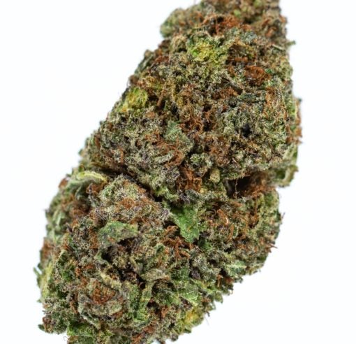 BLUE MAGOO-marijuana-strain-buy-online-canada-