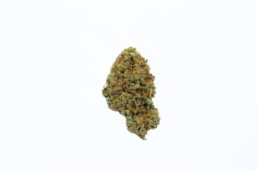CITRAL GLUE-cannabis-strain-buy-online-canada-
