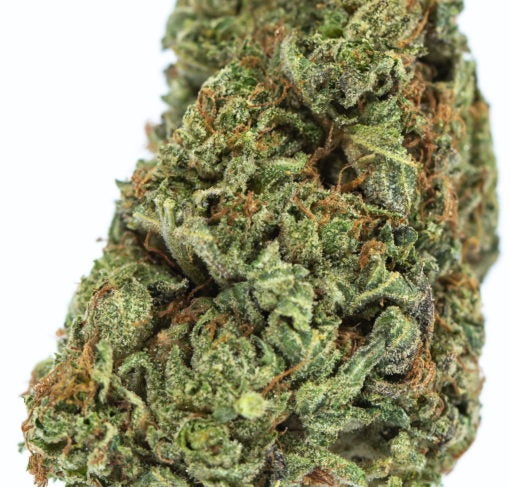 ERDPURT-marijuana-strain-buy-online-canada-