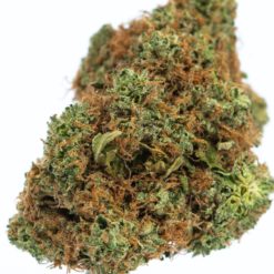 LEMON GRASS-marijuana-strain-buy-online-canada-