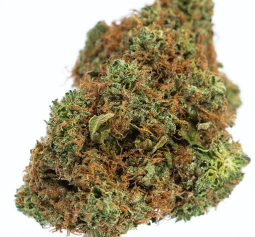 LEMON GRASS-marijuana-strain-buy-online-canada-