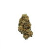 PITBULL-marijuana-strain-buy-online-canada-