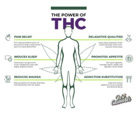 The-Power-of-THC