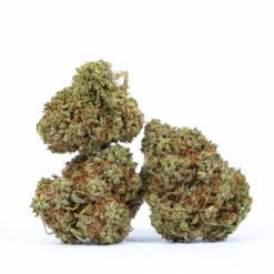 XXX OG-cannabis-strain-buy-online-canada-
