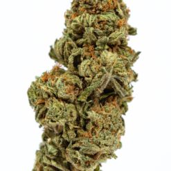 ZAZA-marijuana-strain-buy-online-canada-