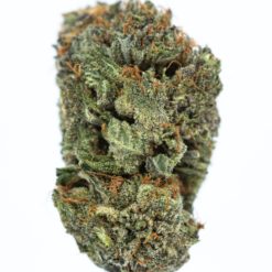 DARKSIDE-OG-marijuana-strain-Buy-Online-Canada