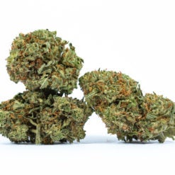INGRID-marijuana-strain-Buy-Online-Canada