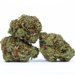 J-KUSH-cannabis-strain-Buy-Online-Canada