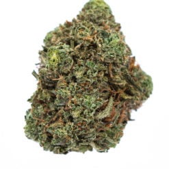 J-KUSH-marijuana-strain-Buy-Online-Canada