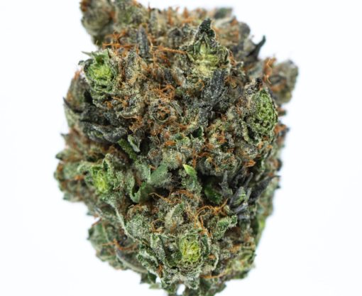 OBAMA-KUSH-marijuana-strain-Buy-Online-Canada