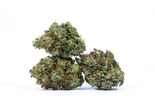 OBAMA-KUSH-weed-strain-Buy-Online-Canada