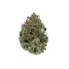 PURPLE-JACK-cannabis-strain-Buy-Online-Canada