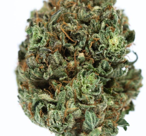PURPLE-JACK-marijuana-strain-Buy-Online-Canada