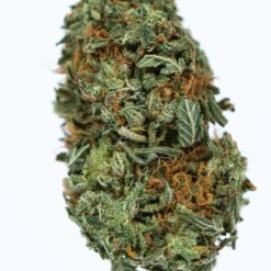 RECON-marijuana-strain-Buy-Online-Canada