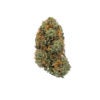 SHIVA-SKUNK-cannabis-strain-Buy-Online-Canada