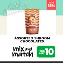Assorted Shroom Chocolates – Mix & Match – Pick Any 10