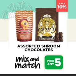 Assorted Shroom Chocolates – Mix & Match – Pick Any 5