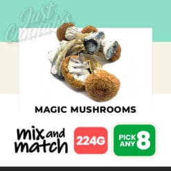 Magic Mushrooms (224G) – Mix & Match – Pick Any 8